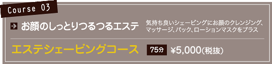 コース03価格